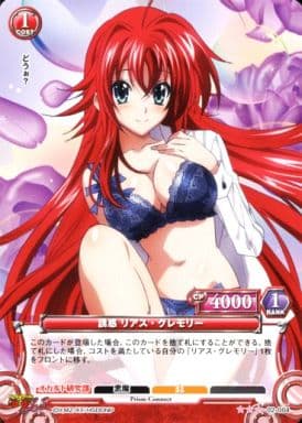 Prism Connect/High School DxD New]誘惑 リアス・グレモリー 02-004 R