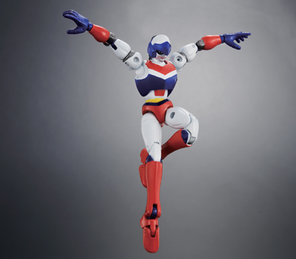 SOUL OF CHOGOKIN GX-39 Baikanfu | TAMASHII WEB