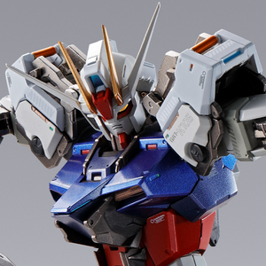 METAL BUILD I.W.S.P. | 魂ウェブ