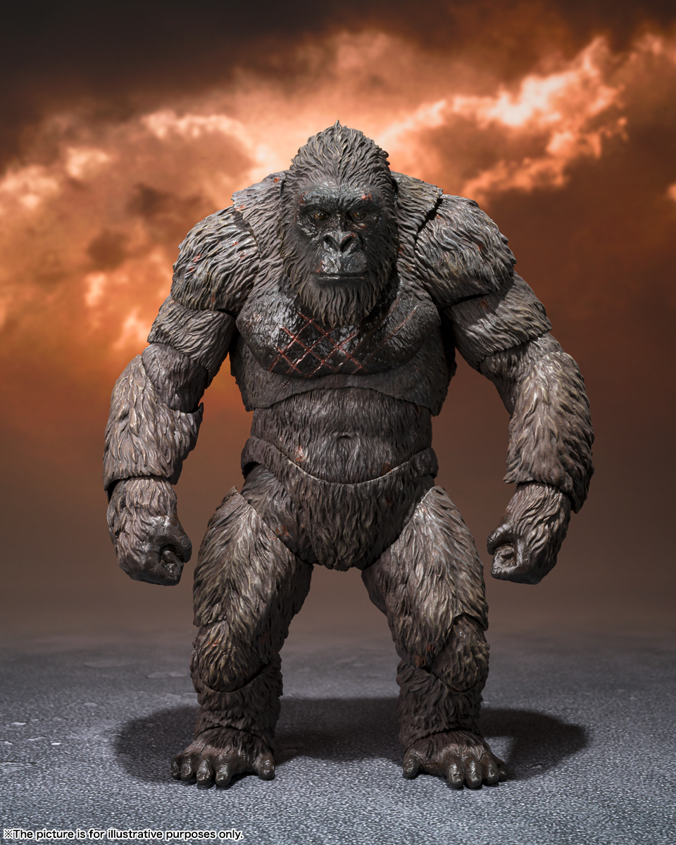 S.H.MonsterArts KONG FROM GODZILLA VS. KONG (2021) -Exclusive