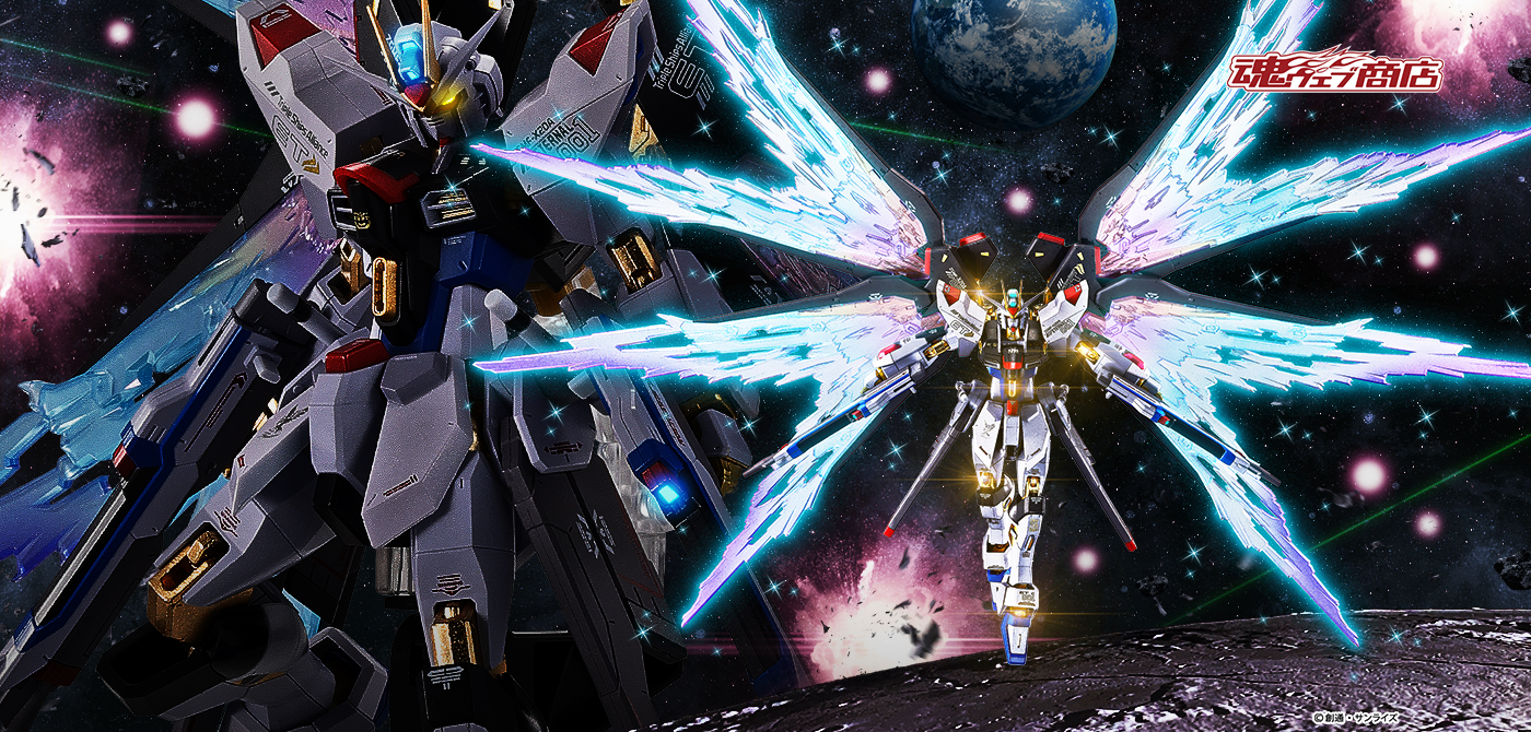 METAL ROBOT魂 ＜SIDE MS＞ ストライクフリーダムガンダム[Re