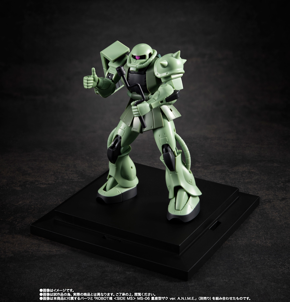 ROBOT魂 ＜SIDE MS＞ YMS-09 プロトタイプ・ドム ver. A.N.I.M.E. ～MS