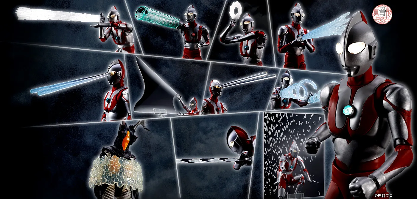 S.H.Figuarts（真骨彫製法）（エス・エイチ・フィギュアーツ シンコッ