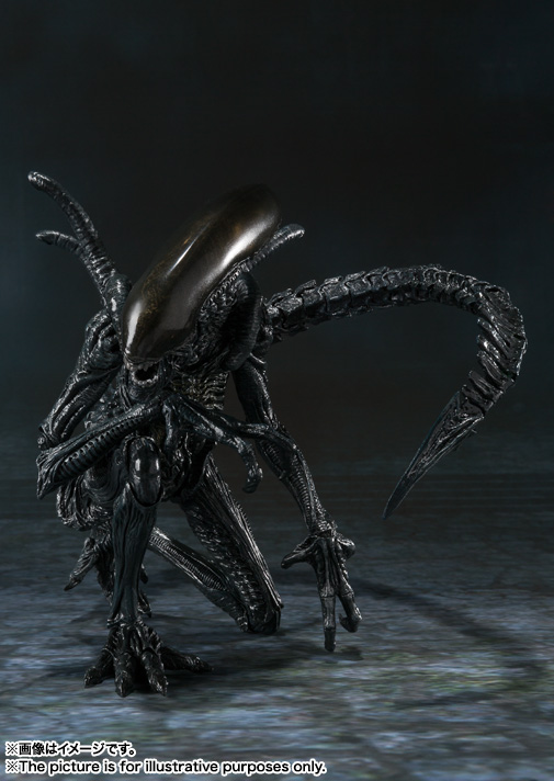 S.H.MonsterArts エイリアン ウォーリア | 魂ウェブ