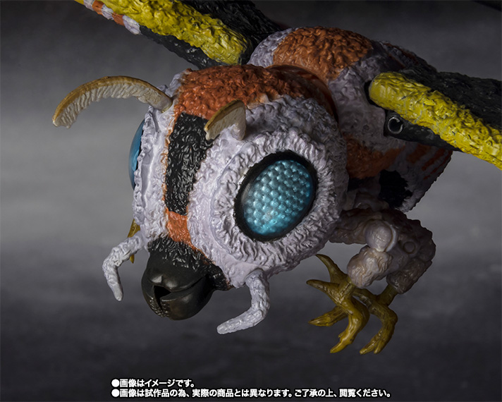 S.H.MonsterArts モスラ（成虫）＆モスラ（幼虫） Special Color Ver