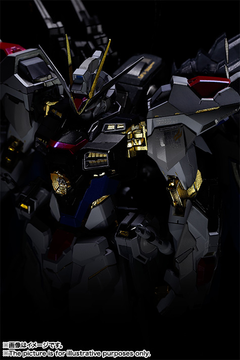 METAL BUILD ストライクフリーダムガンダム│株式会社BANDAI SPIRITS
