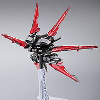 METAL BUILD タクティカルアームズIIL＆タイガーピアス オプション