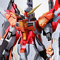 METAL BUILD デスティニーガンダム（ハイネ機）【2016年6月発送分
