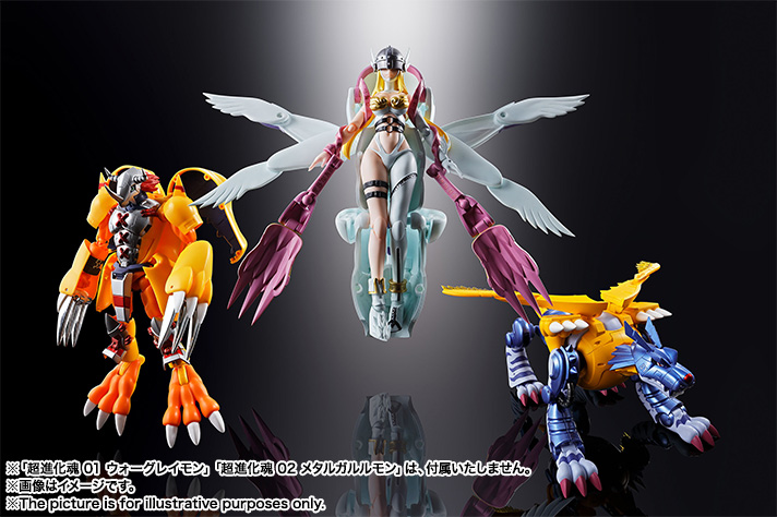 Super Evolution Soul 04 Enge Umon |TAMASHII WEB