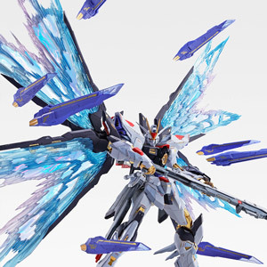 METAL BUILD 【開催記念商品／事前販売】デスティニーガンダム SOUL