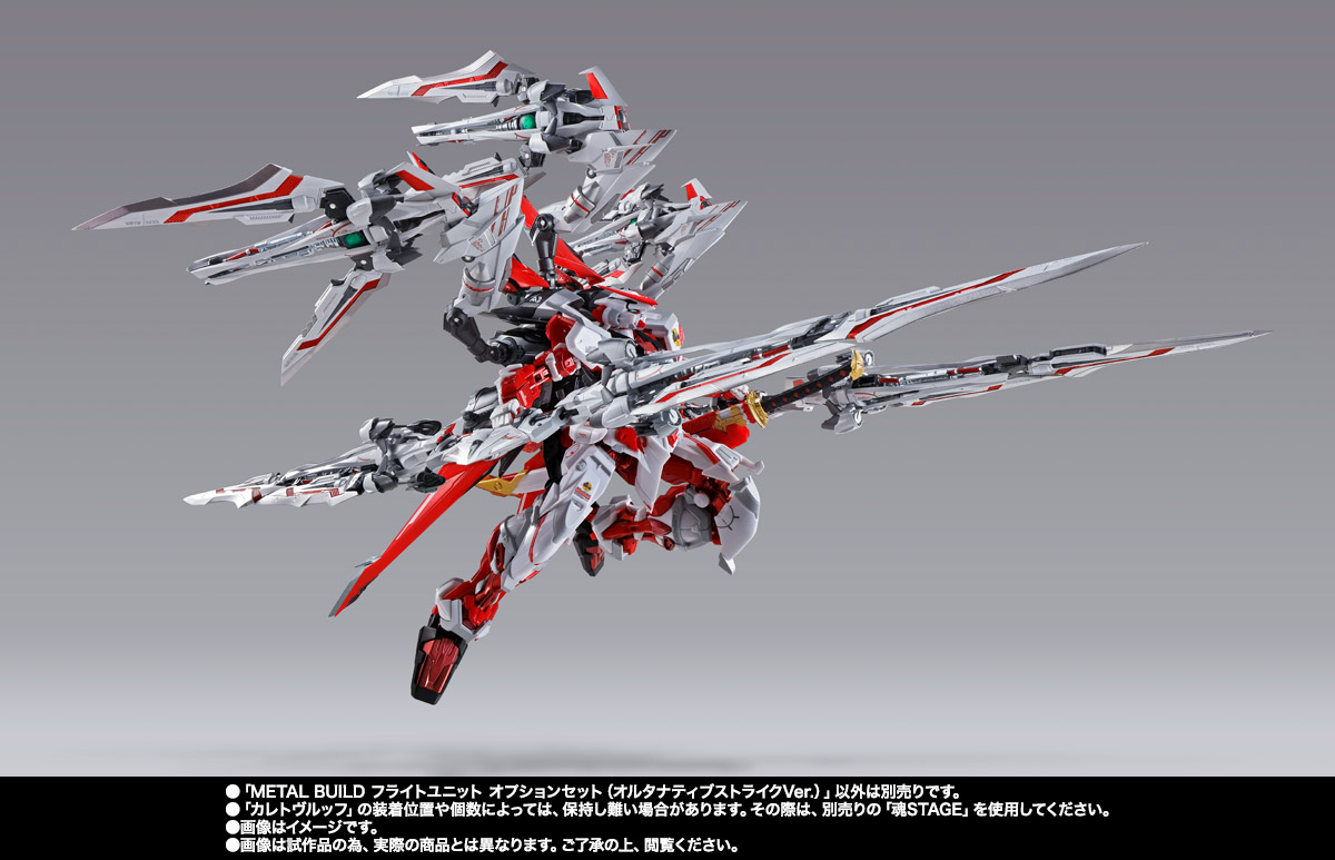 METAL BUILD Flight Unit Option Set (Alternative Strike Ver