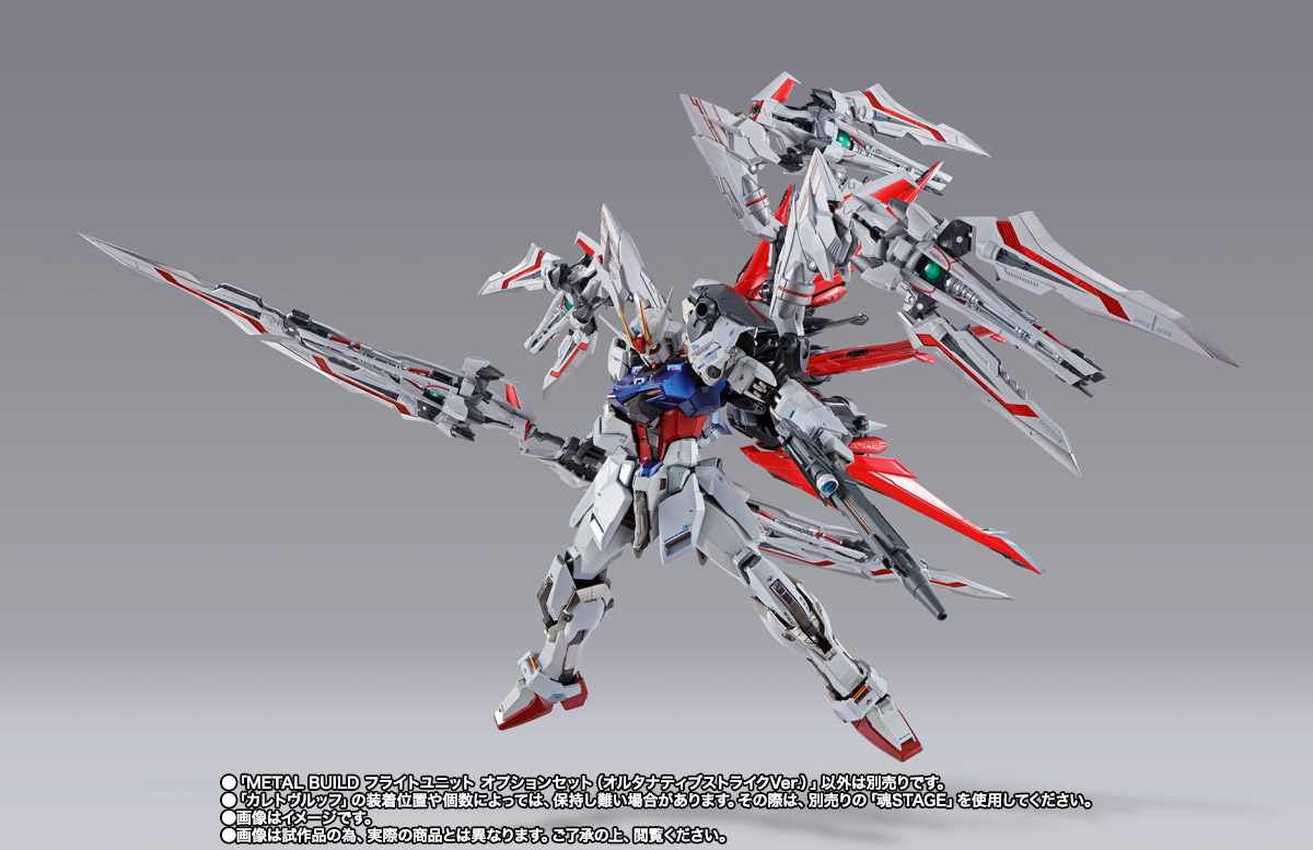 METAL BUILD フライトユニット オプションセット（オルタナティブ