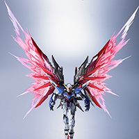 METAL BUILD ストライクフリーダムガンダム 光の翼オプションセット