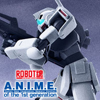 ROBOT魂 ＜SIDE MS＞ MSM-03C ハイゴッグ ver. A.N.I.M.E. | 魂ウェブ