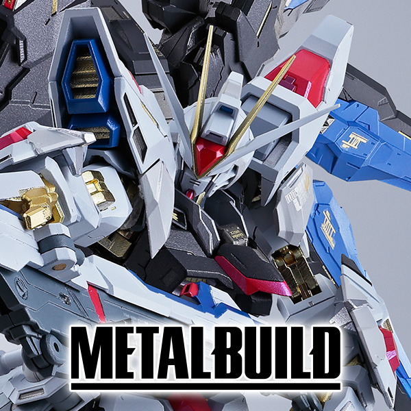 METAL BUILD ストライクフリーダムガンダム [METAL BUILD FESTIVAL
