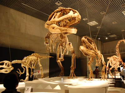 2009年04月 - クマにゃん日記