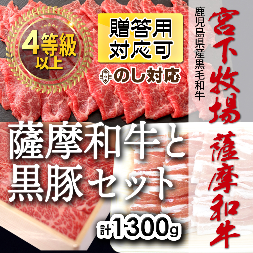 薩摩和牛と黒豚セット【宮下牧場 薩摩和牛 A4ランク以上】 - TABADON