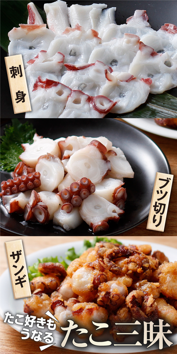 浜中産】たこ三昧！晩酌セット ｜釧路 ヤママル富士｜海鮮 たこ｜食べ