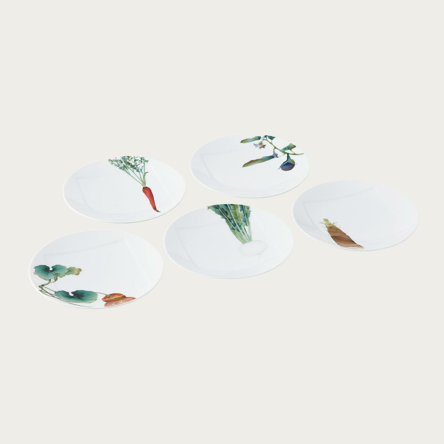 京香旬彩 15.5cmプレートセット(5枚)(絵変り) | ノリタケ食器公式