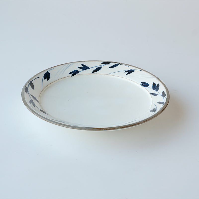 はるか はるか 中皿（桐箱入）〈5枚〉 美濃焼 |皿や鉢など和食器の通販