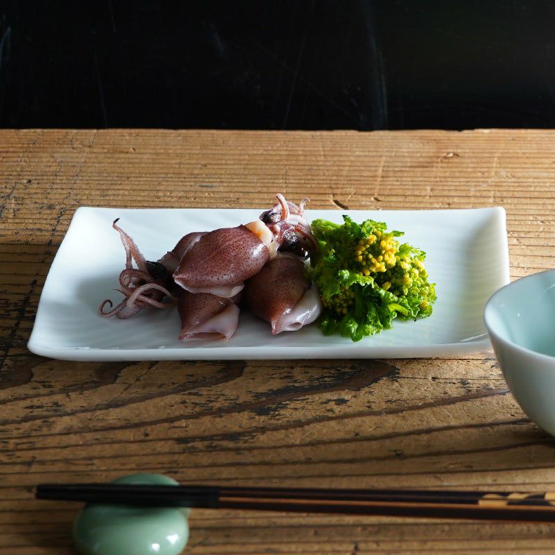 白磁さらさ（はくじさらさ） 白磁さらさ 銘々皿〈5枚〉 美濃焼 |皿や鉢