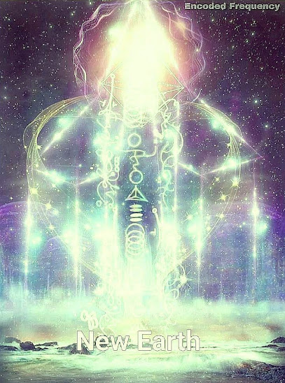 新商品に関する記事一覧 | タキオン製品/アクセサリー ショップ：COBRA製品