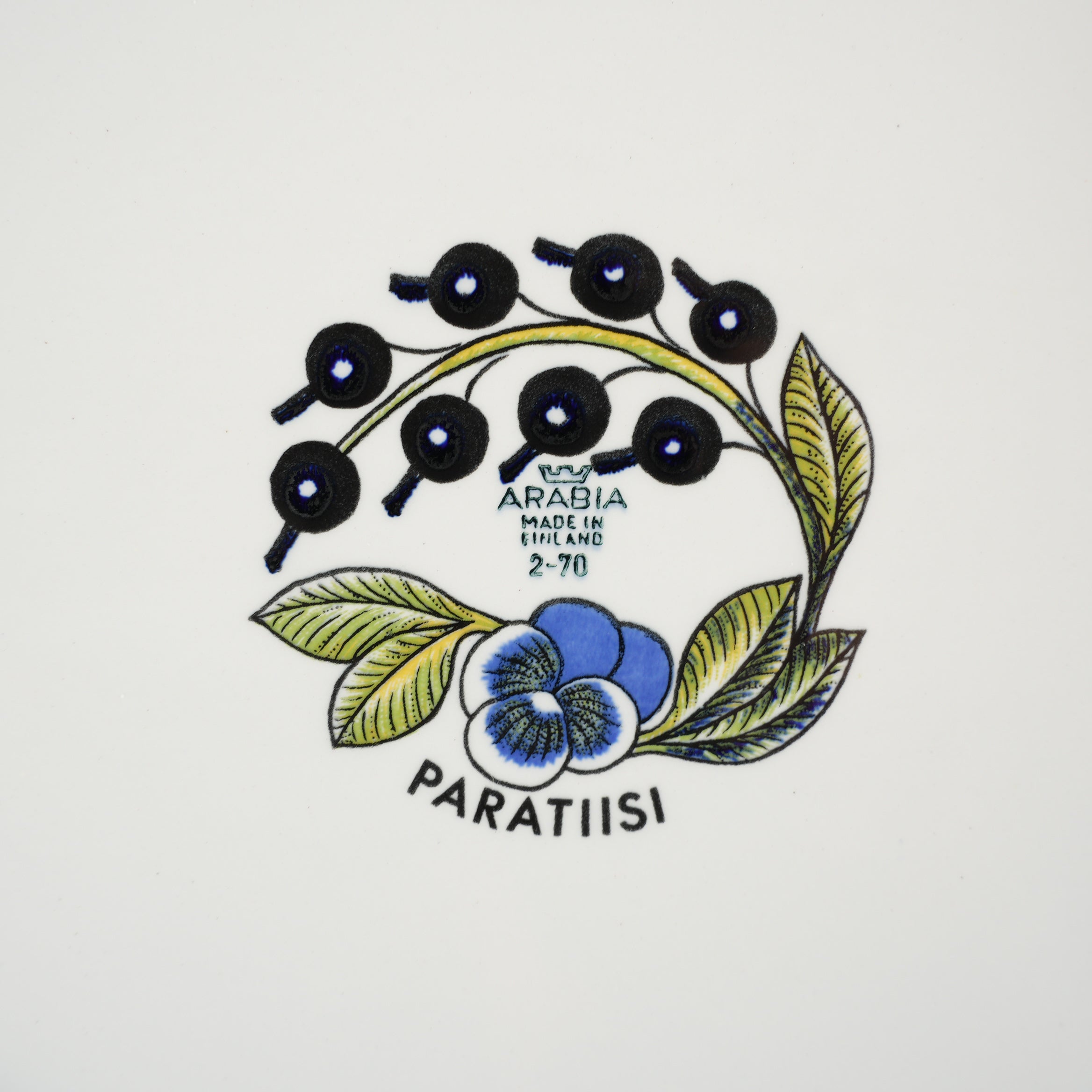 希少【ヴィオラロゴ】 アラビア パラティッシ 特大オーバルプレート