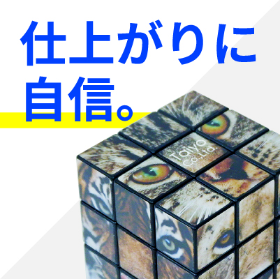 6面パズル | 室内で遊べるグッズ | 株式会社タイヨー