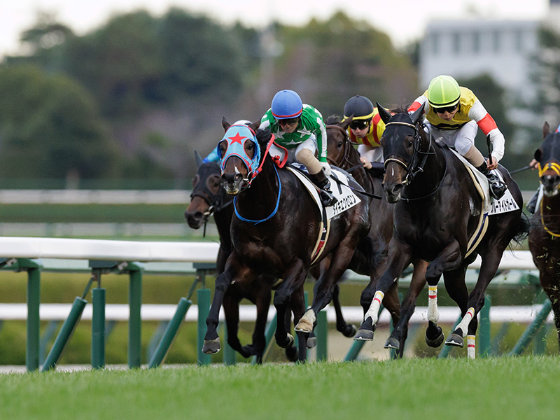 タイキエクセロン | 大樹レーシングクラブ公式サイト