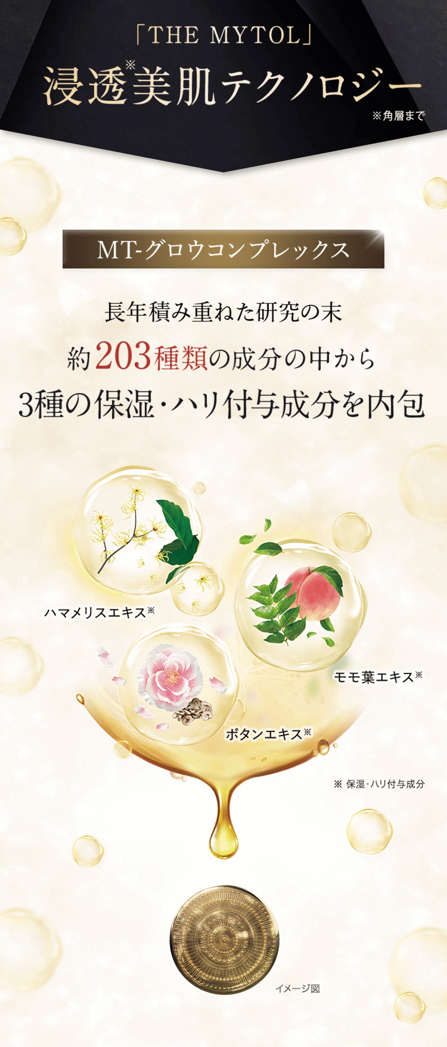 定期】ザ マイトル リフティングローション(200mL): TLトップ