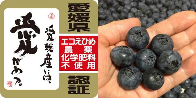 季節限定（生・冷凍ブルーベリー） - 高山ガーデンのオンライン