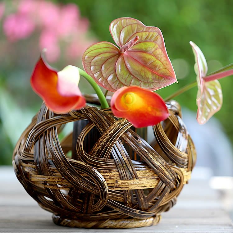 染掛け花籠 牛の角 | 虎斑竹専門店 竹虎