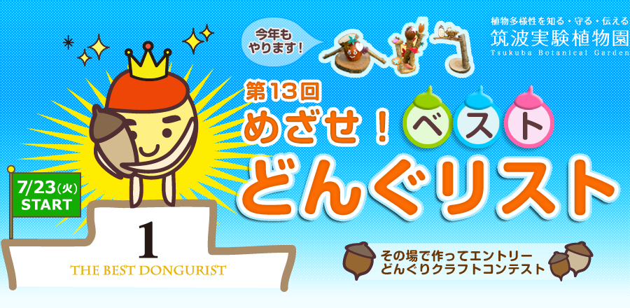 めざせ！ベストどんぐリスト2024 - 筑波実験植物園