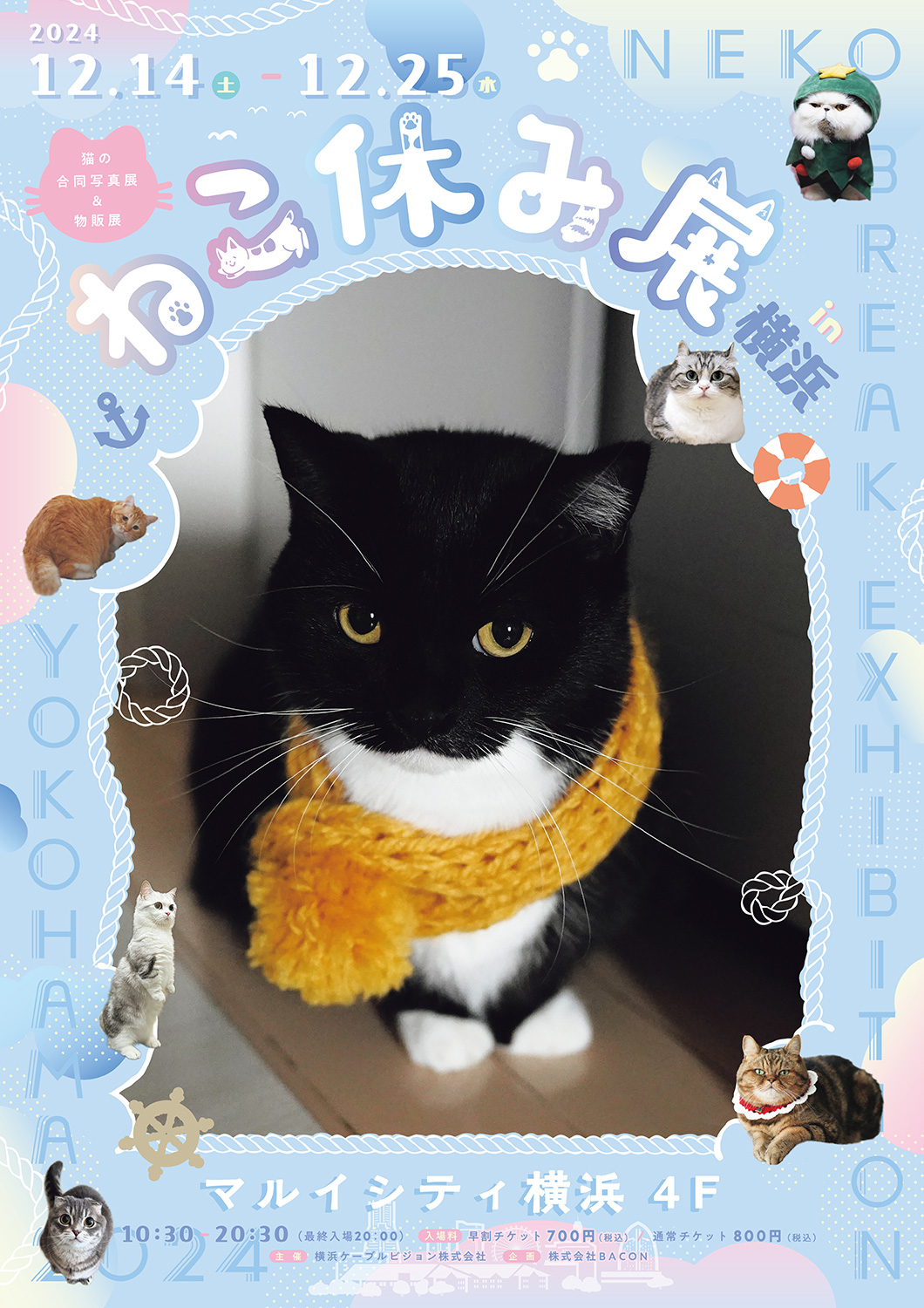 ねこ休み展 in 横浜