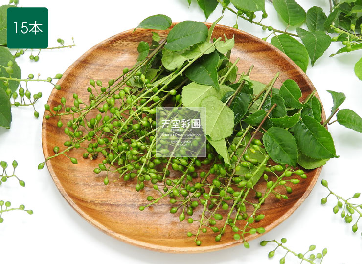 里山の恵み−山菜【ウワミズザクラの未熟果】(自生種) | 天空彩園