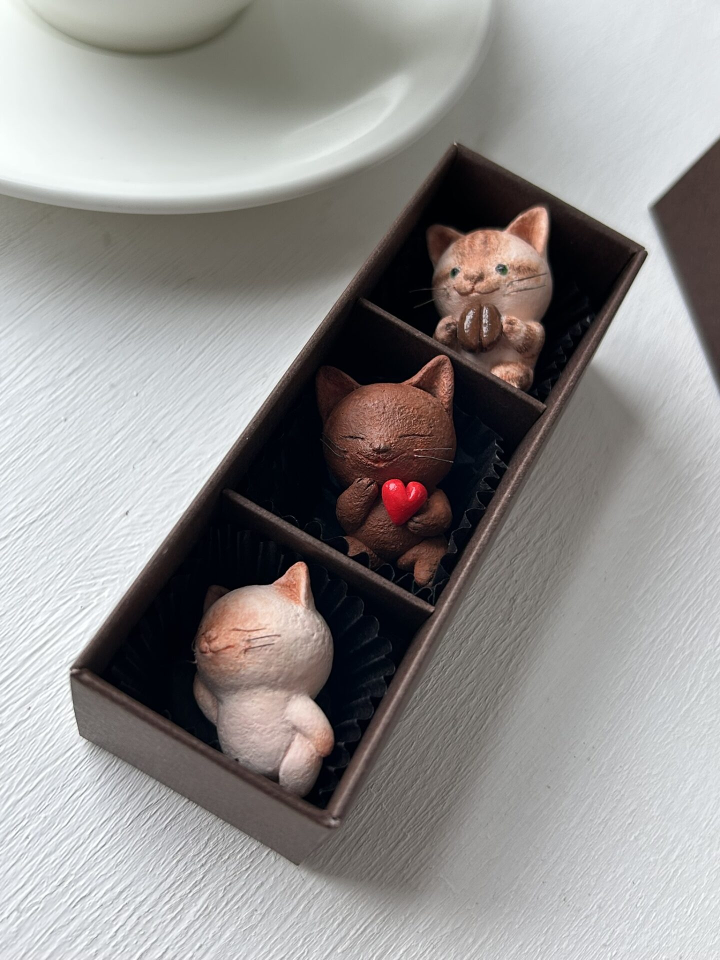 チョコレートみたいな猫さんがやってきた！ | 手ノヒラ堂