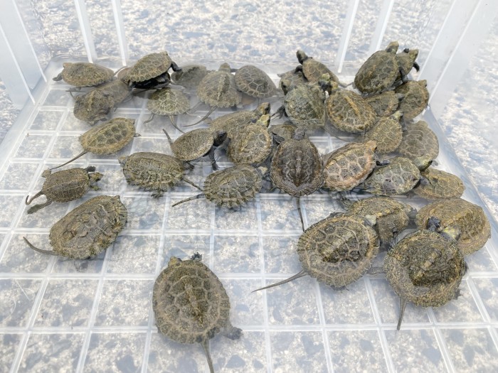 2025年度販売方針について｜活動レポート｜ひろしま里山・チーム500