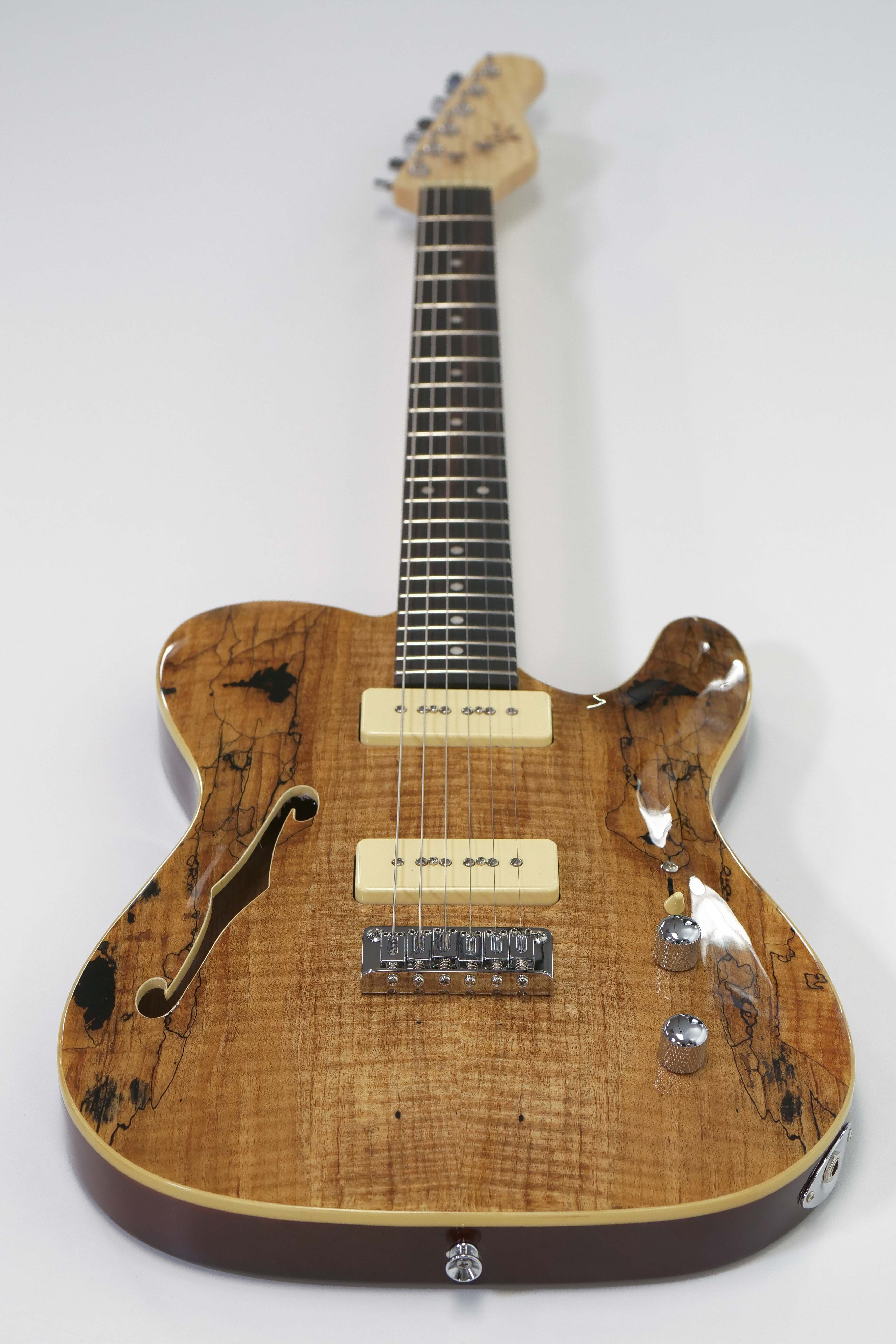 ギター Michael Kelly Guitars 59 thin line P-90 Michael Kelly