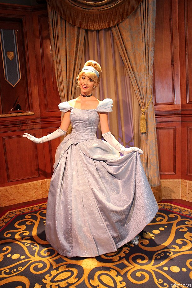 アナ、エルサ、ラプンツェル、シンデレラに会えます！FP+必須です