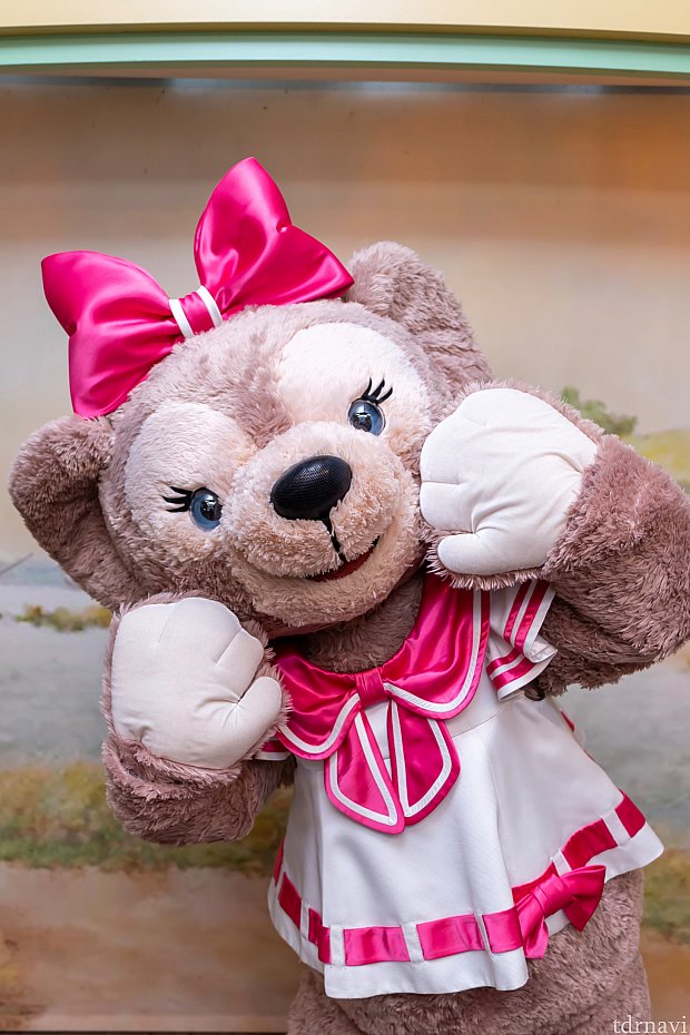 ダッフィーがかわいい꒰ ♡´∀`♡ ꒱ | ヴィレッジ・グリーティング