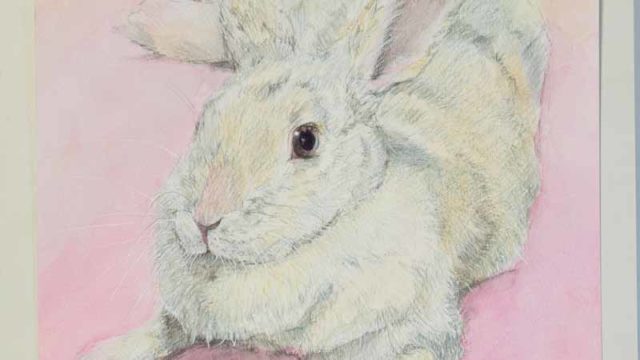 うさぎさんを描きました。大きく。｜木彫りうさぎのパパ。ティムのブログ