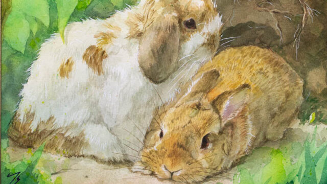 森のうさぎさんを描きました。｜木彫りうさぎのパパ。ティムのブログ