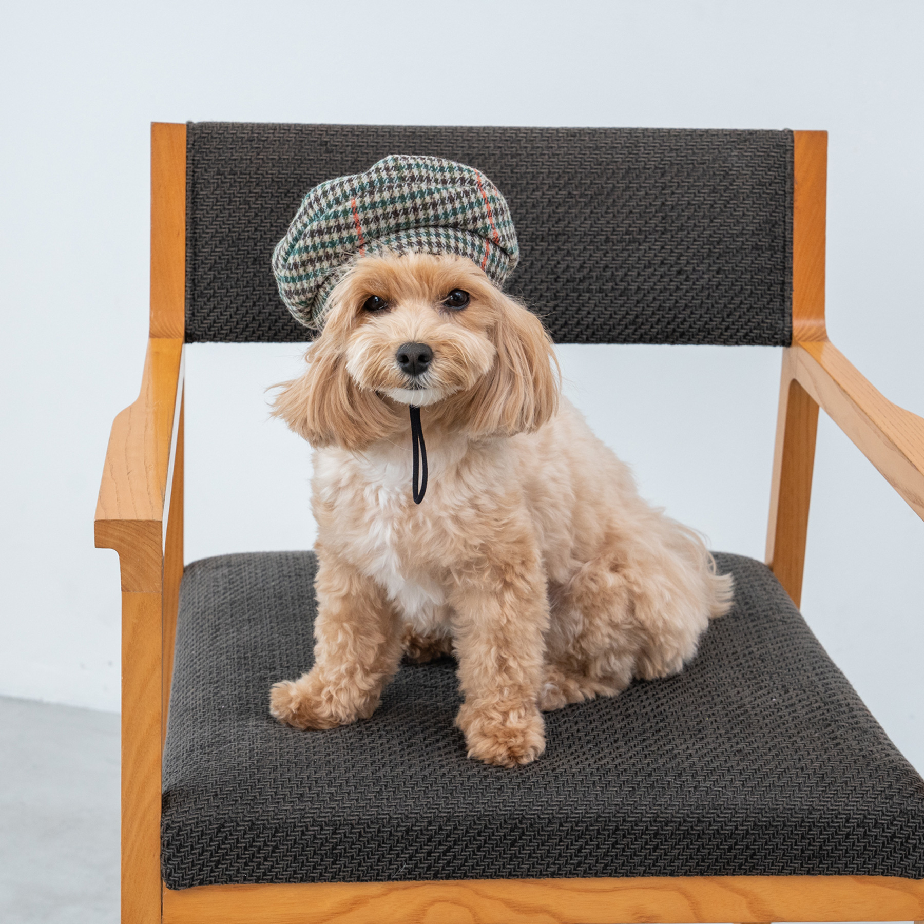 グレンチェック柄ベレー帽 – TINOTITO