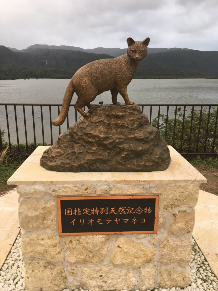 イリオモテヤマネコに注意」西表島の猫の標識はインスタ映え！骨も