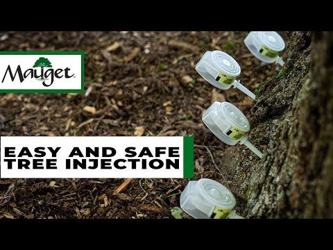 Mauget Imisol (Imicide and Fungisol) – Tree Injection Products Co.