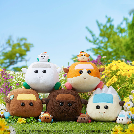 PUI PUI モルカー 抱っこぬいぐるみ | A-on STORE