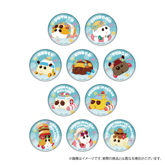 PUI PUI モルカー きらきらビーチパーティー きらきら缶バッジ（全10種