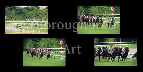 ウオッカ2007日本ダービー優勝記念写真集 | サラブレッドアート