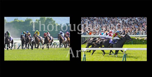 フェノーメノ第147回、149回天皇賞(春)優勝記念プレミアム写真集