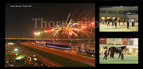 リアルスティール第21回ドバイターフ優勝記念プレミアム写真集